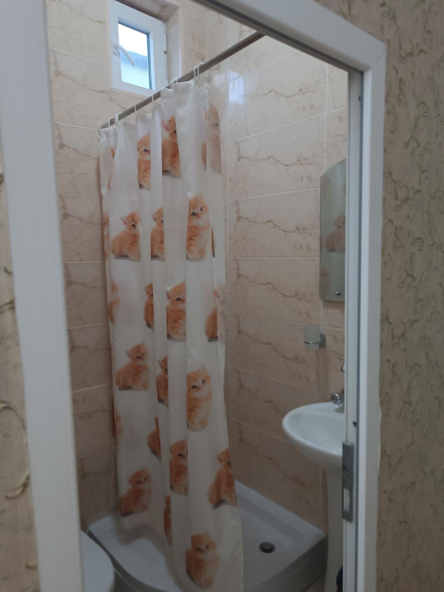 Best Host シグナギ 部屋 写真